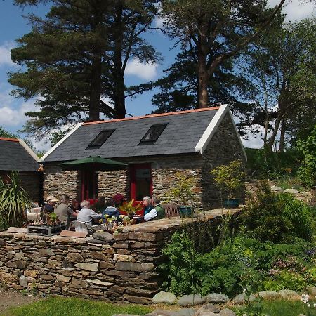 Ballycommane House & Garden Durrus Bagian luar foto