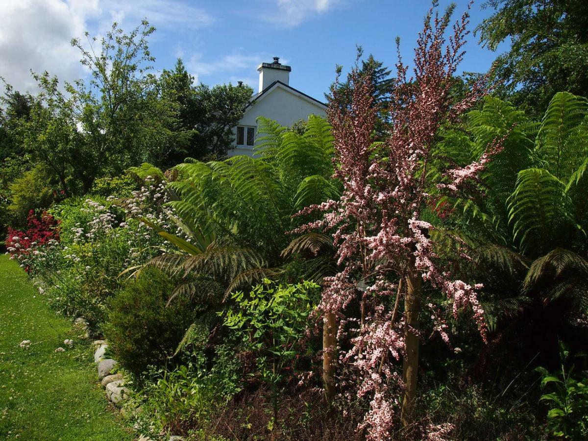 Ballycommane House & Garden Durrus Bagian luar foto