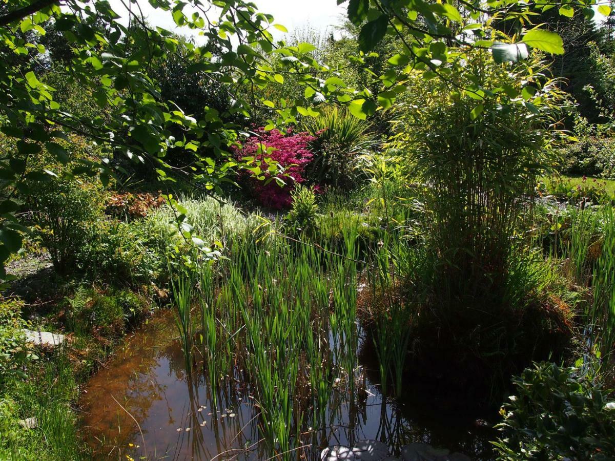 Ballycommane House & Garden Durrus Bagian luar foto